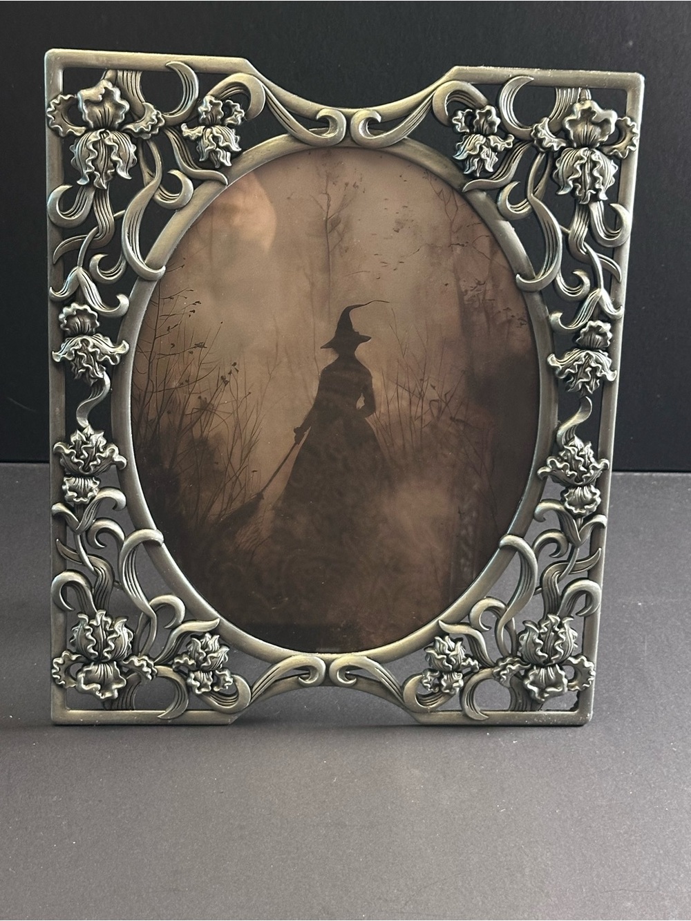 Gothic Witchy Moody Academia  Vintage Pewter Rose Vine 8x10 Frame